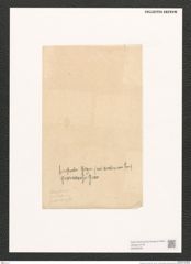 Navicula sp. (de-Toni-Nr.: Genus 1) Zeichnungen Sammlung Grunow (NHMW-BOT-W0368329)